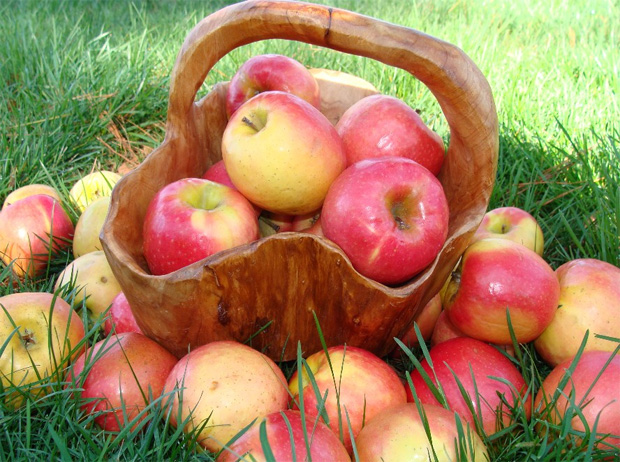 На траве в вырезанной из дерева корзине лежат спелые яблоки