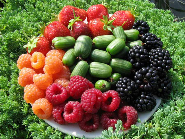 На природе в блюде выложены ягоды смородины, малины и ежевики