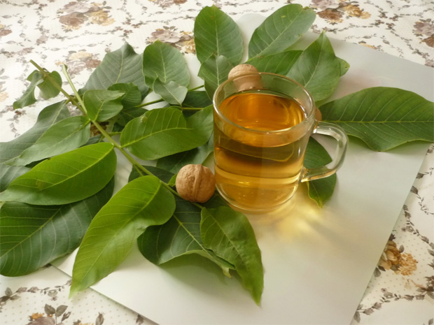 На столе листья и плоды грецкого ореха и кружка с заваренным чаем